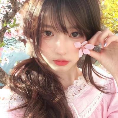 申社长计划